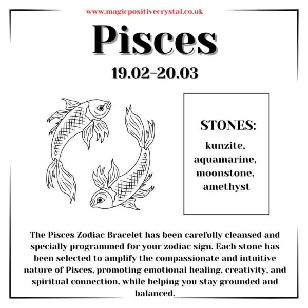 Pisces Bracelet - Image 6