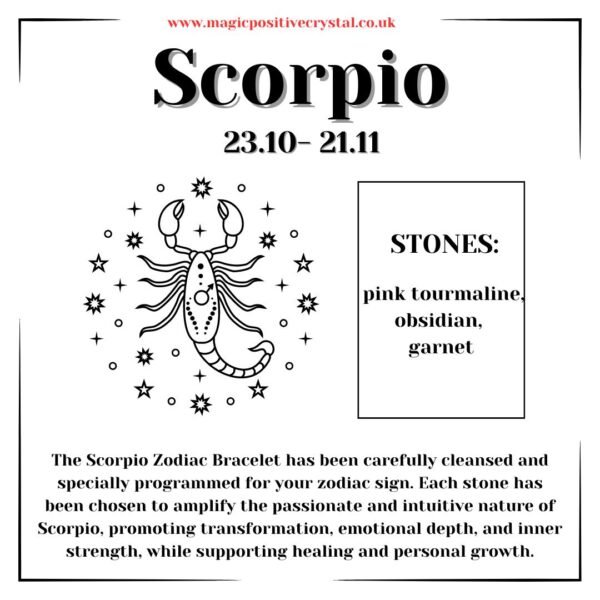 Scorpio Bracelet - Image 6